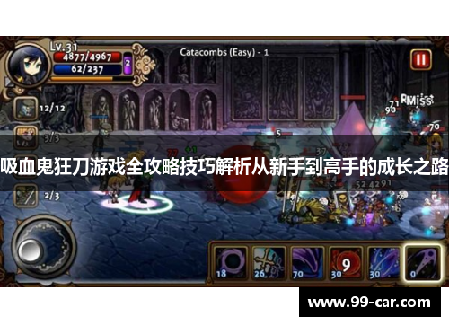吸血鬼狂刀游戏全攻略技巧解析从新手到高手的成长之路
